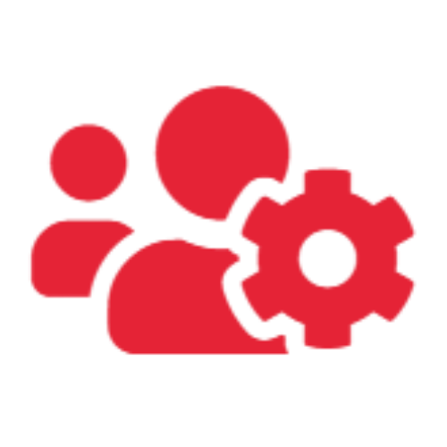 domestic roofing logo